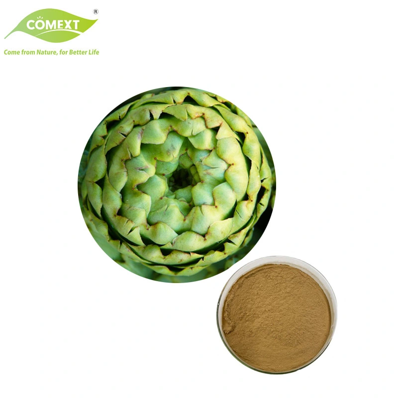 100% Pure Natural Plant Extract Cynara Scolymus Extract Cynarin Artichoke Powder