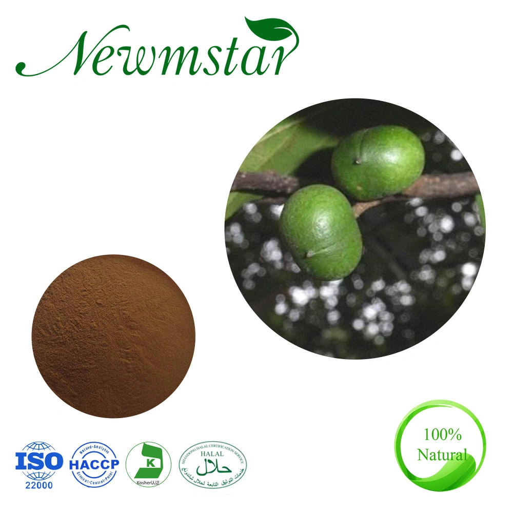 ISO Factory Pygeum Africanum Bark Extract 13% Phytosterols Herbal Extract