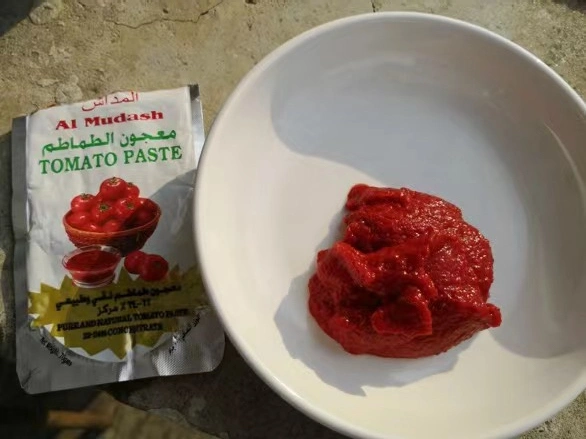 Frische Ernte ausgezeichnete 28-30% Brix Tomatenkonserven Paste 70gx50