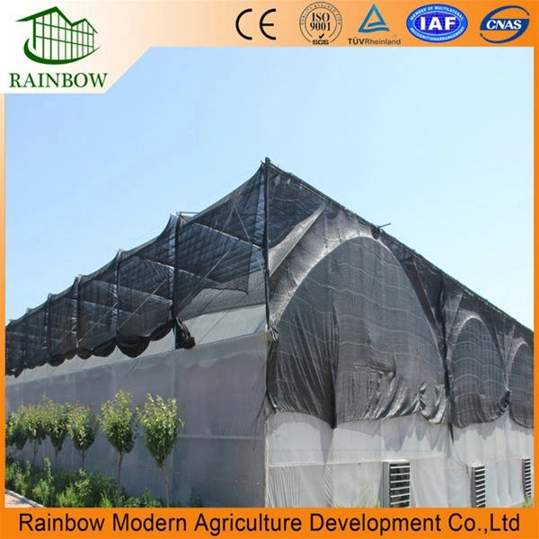 Agriculture Hot-DIP Galvanized Steel Film Vegetables Greenhouse