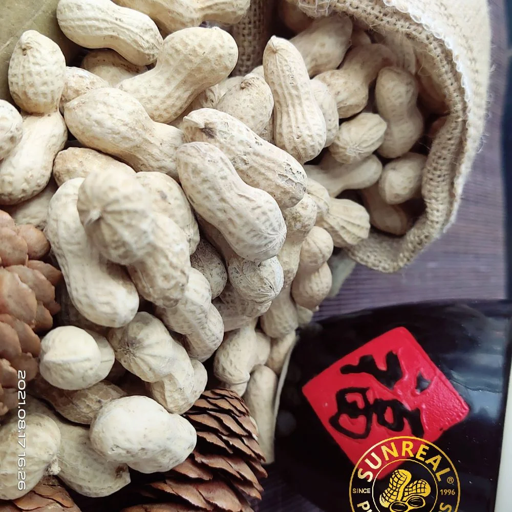 China Roasted Java Peanuts in Shell/Bold Peanut in Shell/Crispy 40/50 Good Taste