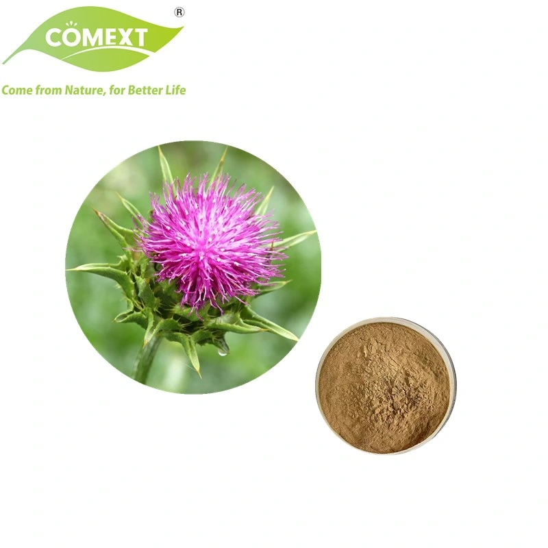 Comext Natural Herb Bulk Supply Milk Thistle 40% Silymarin Extract Powder for Healthcare Supplement