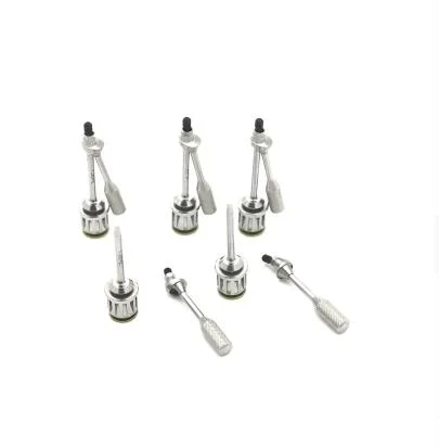 China Manufacturer Titanium Dental Abutment Screw with SLA Surface Treatment