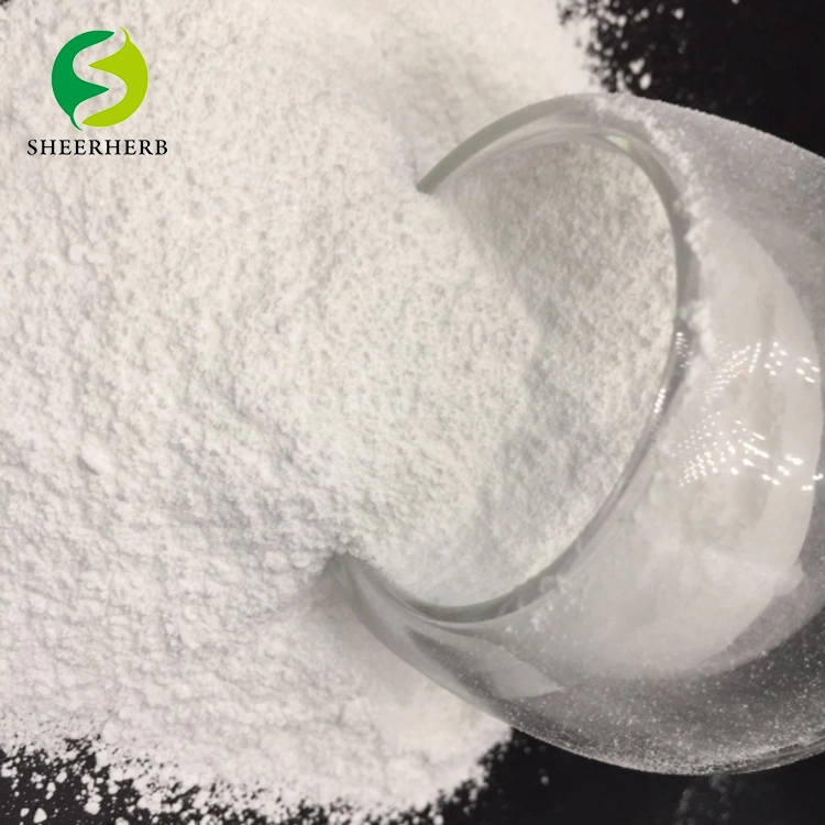 Sheerherb Pure 99% Sodium Benzoate CAS 532-32-1 Food Preservatives at Factory Sodium Benzoate