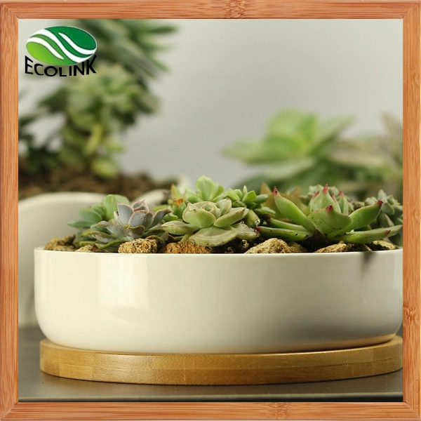 Various Ceramic Succulent Pot with Bamboo Tray