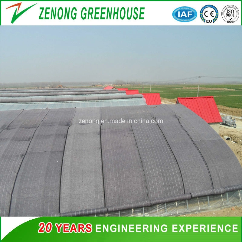 Chinese Greenhouse Hydroponic Irrigation System Tomato Strawberry Agriculture Steel Frame Muti Span Polycarbonate Green Houses