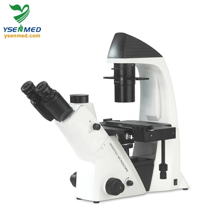 Medical Equipment Ysxwj-Dz400 Medical Equipment Inverted Biological Microscope