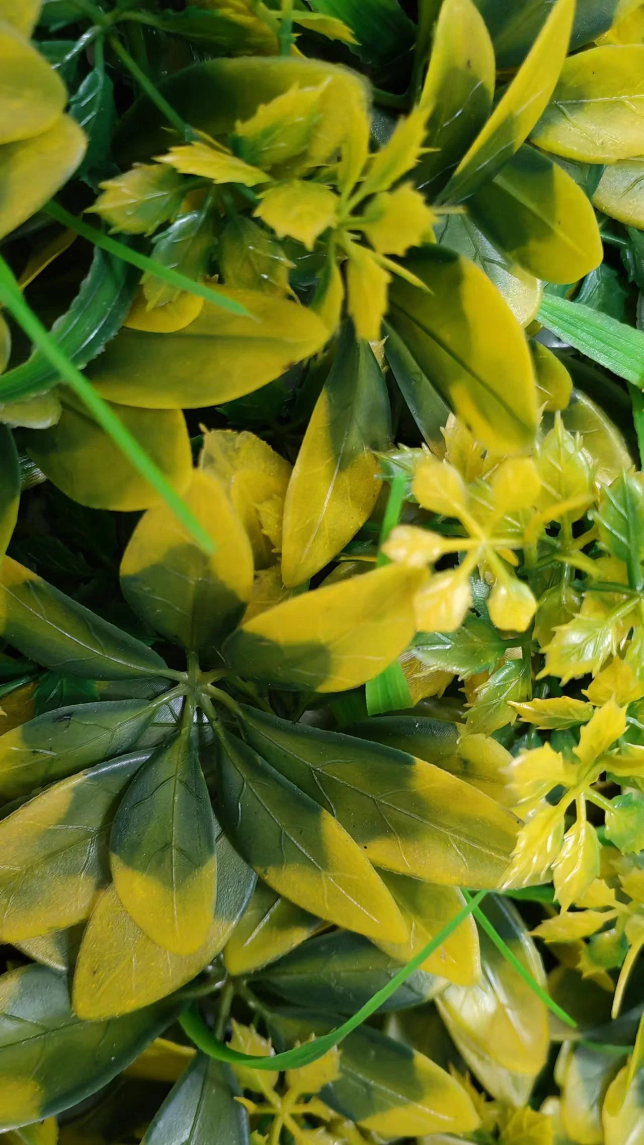 Panel de larga duración flores de plástico, tela, las plantas de orquídeas Artificial moqueta con Certificación SGS