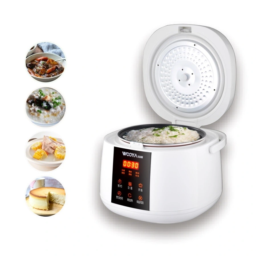 Appareil de cuisine électrique intelligent avec cuiseur multifonction, vapeur, gâteau, ragoût, cuisson lente, Congee, Minuterie de préréglage, réchauffage