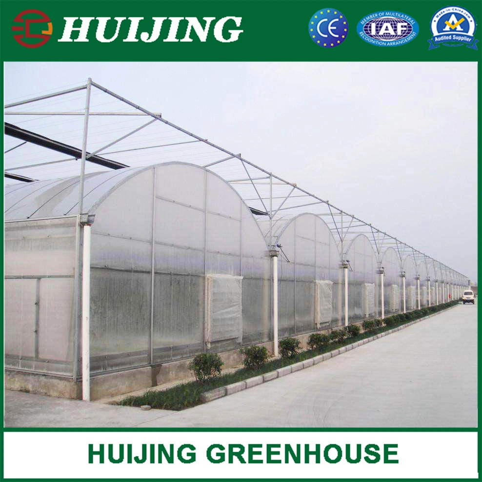 Gothic Multi Span Polycarbonate Greenhouse for Vegetables/Fruits/Flowers