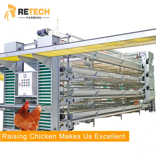 Best Chicken Raising Equipment Factory H Type of Layer Chicken Cages