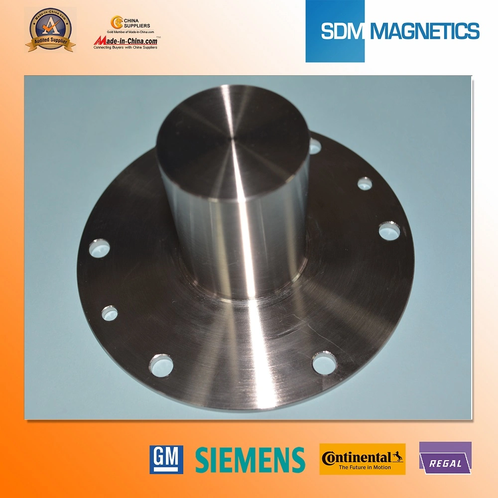 Customized Permanent Neodymium Magnetic Assembly