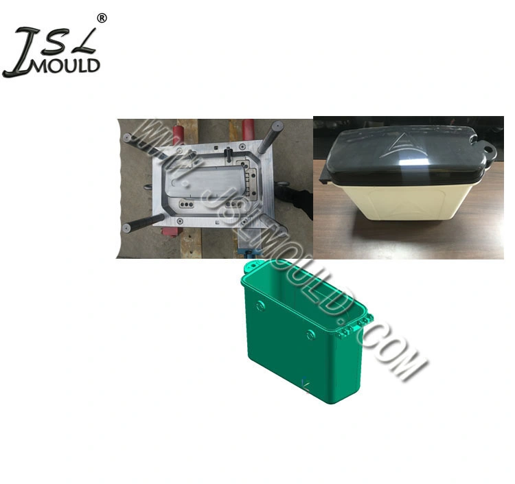 Taizhou Professionelle Herstellung Von Injektion Motorrad Seite Box Form