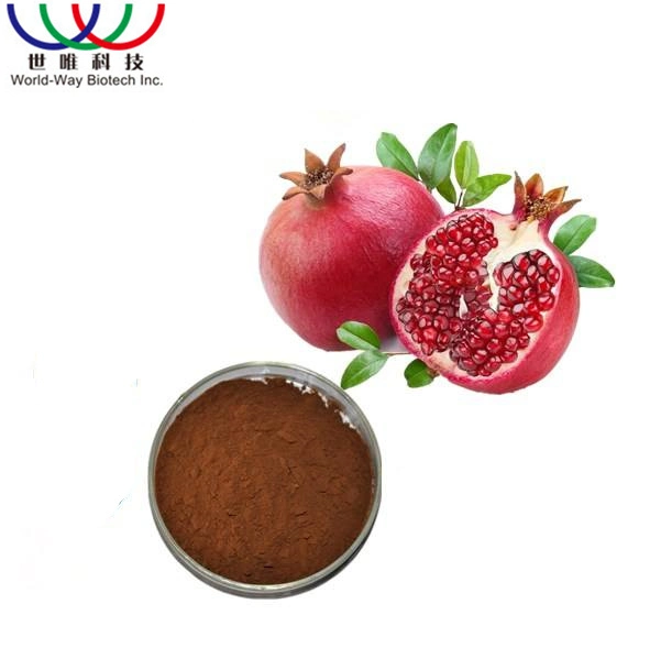ISO Certification Supply Pomegranate Peel Extract of 40% Ellagic Acid