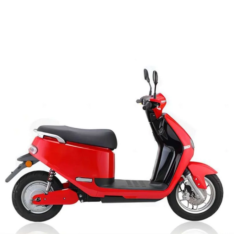 60V 1000W High Speed Electric Motorcycle Scooter Electric Bike for Ssle