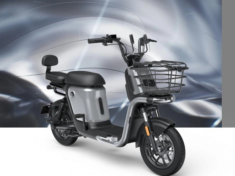 S1 Electric Bike with CE Approval with Pedal Assistance