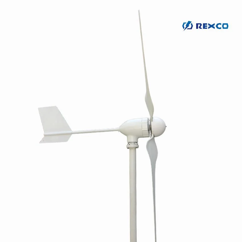 Free Energy Generator 1000W to 20kw Small Wind Generator Windmill Wind Turbine