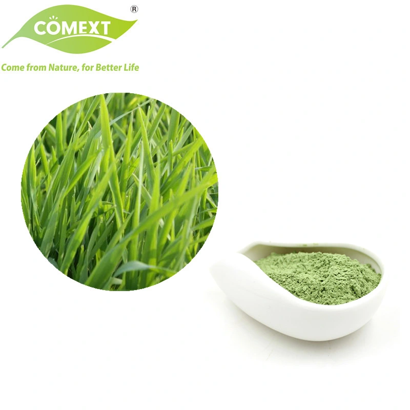 Comext USA Warehouse in Stock Free Sample High Quality Organic Wheat Grass Powder