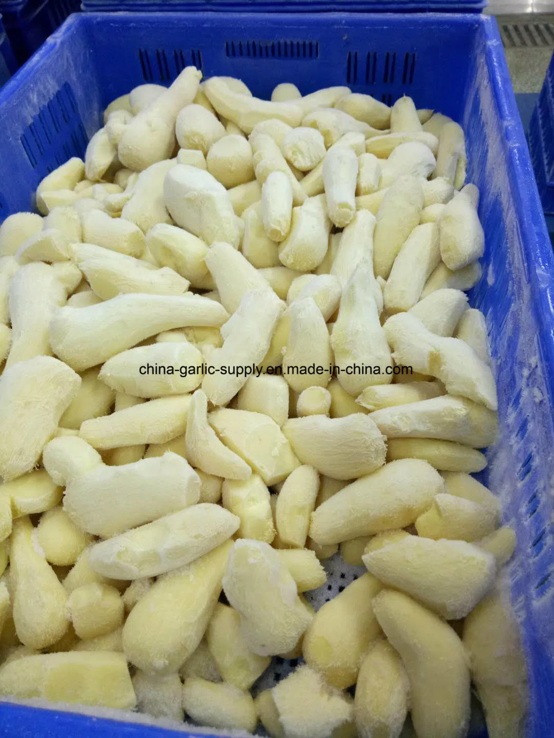 Wholesale/Supplier Frozen Peeled Ginger/IQF Ginger Segment