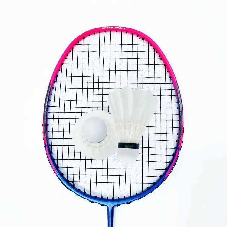 Manufacturer Design Dmantis Brand Full Carbon Badminton Racket Training Type