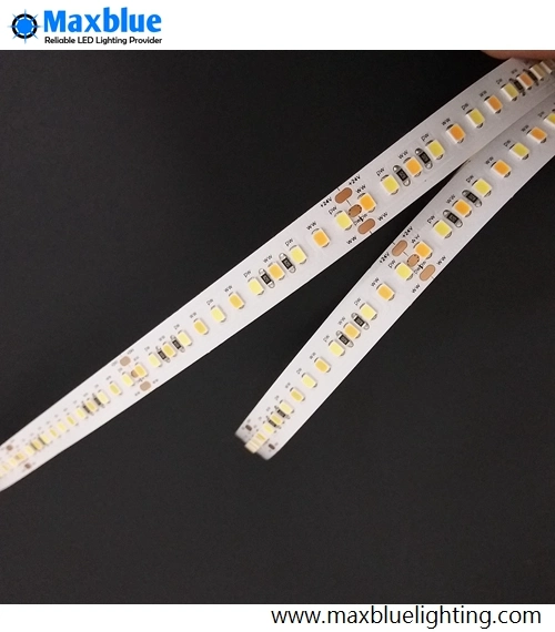 Superbright CRI95ra Bicolor Flexible LED Tape Lighting SMD2835 168LEDs/M