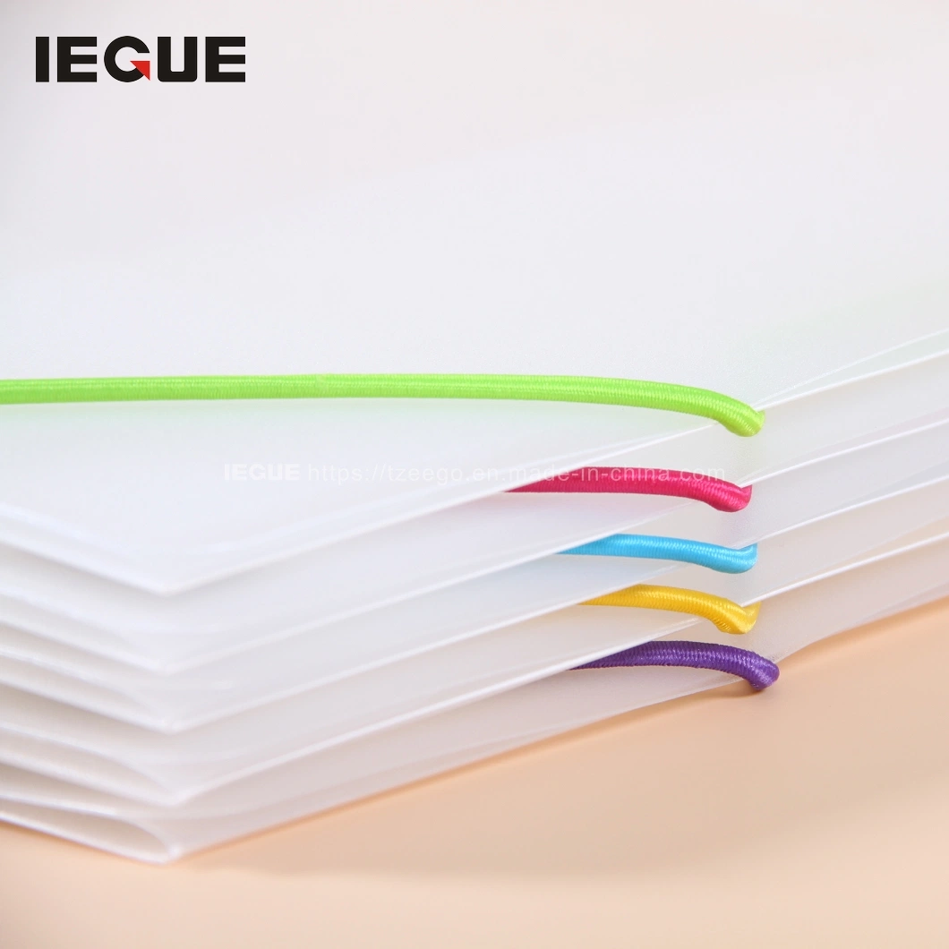 Clear PP Plastic Office Stationery File Folder with Colored Elastic Band