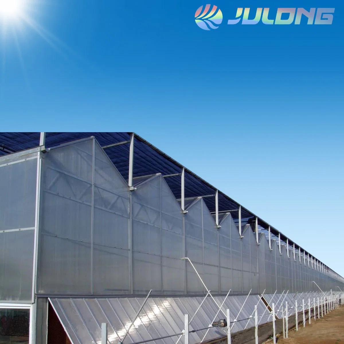 Professional Manufacture Building Materials Made of Commercial Venlo Glass Greenhouse for Garden Products