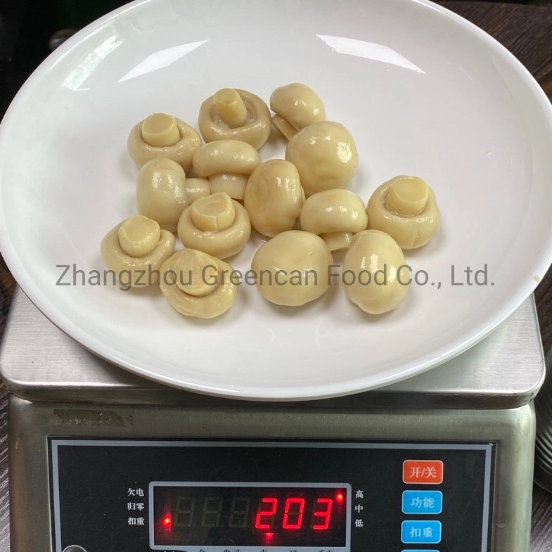 Canned Food Fresh Champignon Mushroom Whole From Manufacturer