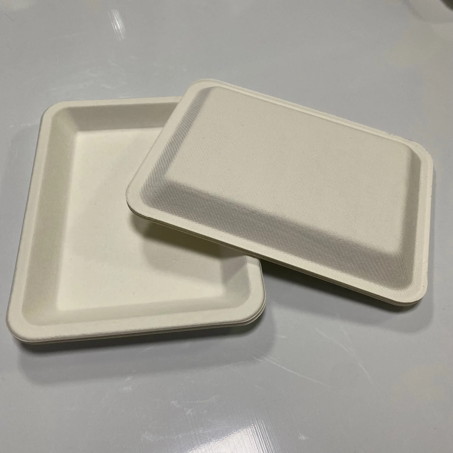 Home Compost with Hight Quality Eco-Friendly Biodegradable Food Tray Sugarcane Bagasse Paper Pulp Tableware Biodegradable Trays Disposable Food Holder