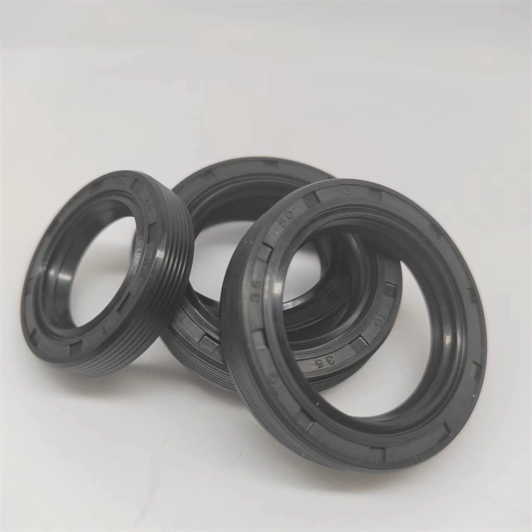 Auto Double Lip Single Lip Tc Tg Sc Sb Tb Oil Seal Ffkm FKM NBR Oil Seal for Fuel Injector