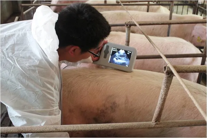 Animal Disease Equipment LED Ultrasound Scanner Super Large Screen