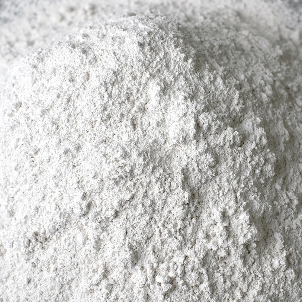 Quality Tope Quality Food Grade Industrial Grade Hydrated Lime Ca (OH) 2 Calcium Hydroxide Hsca Price White Powder CAS 1305-62-0