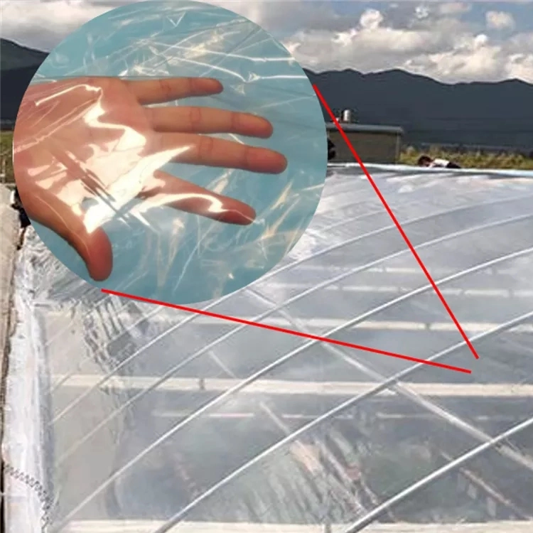 Film transparent Serre de jardin en plastique de l'agriculture commerciale solaire