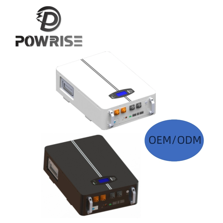 precio de fábrica Hotsale 51,2V100AH LiFePO4 Sistema de Almacenamiento de Energía Solar Nuclear Batería de litio con BMS