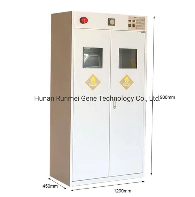 Metal Laboratory 3 Bottles Gas Cylinder Storage Cabinet