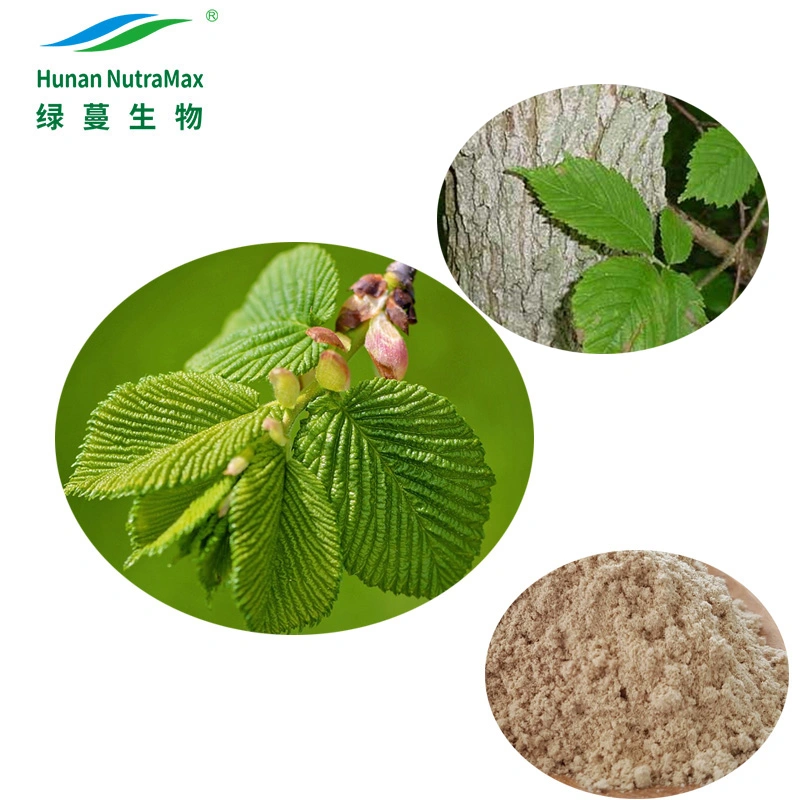 Pure Slippery Elm Bark Extract Powder