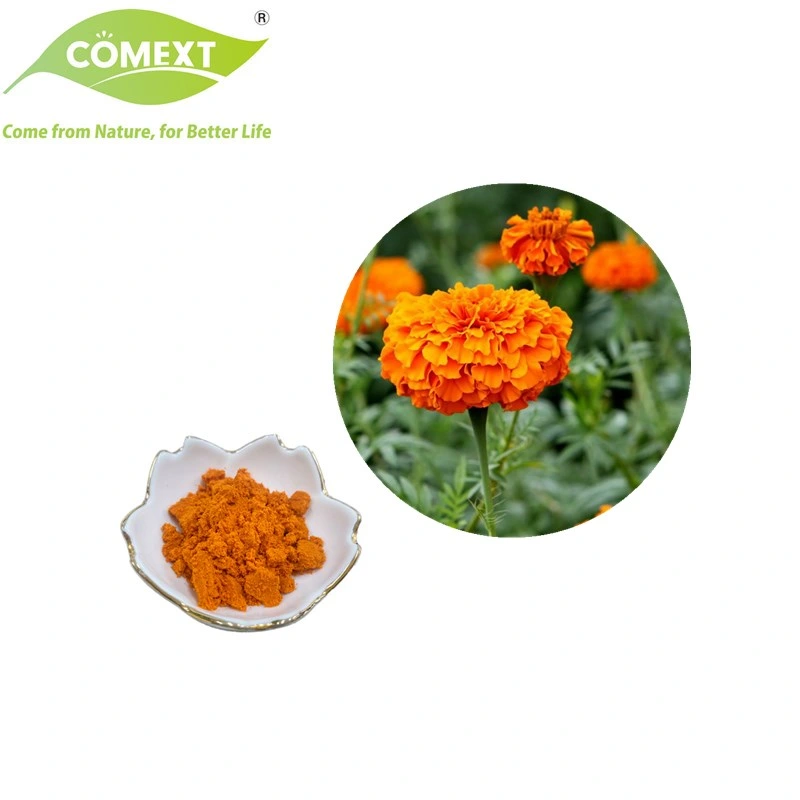 Comext China Factory Hot Selling 5%~20% Zeaxanthin 10%~85% Lutein Marigold Flower Extract Powder for Eye Health