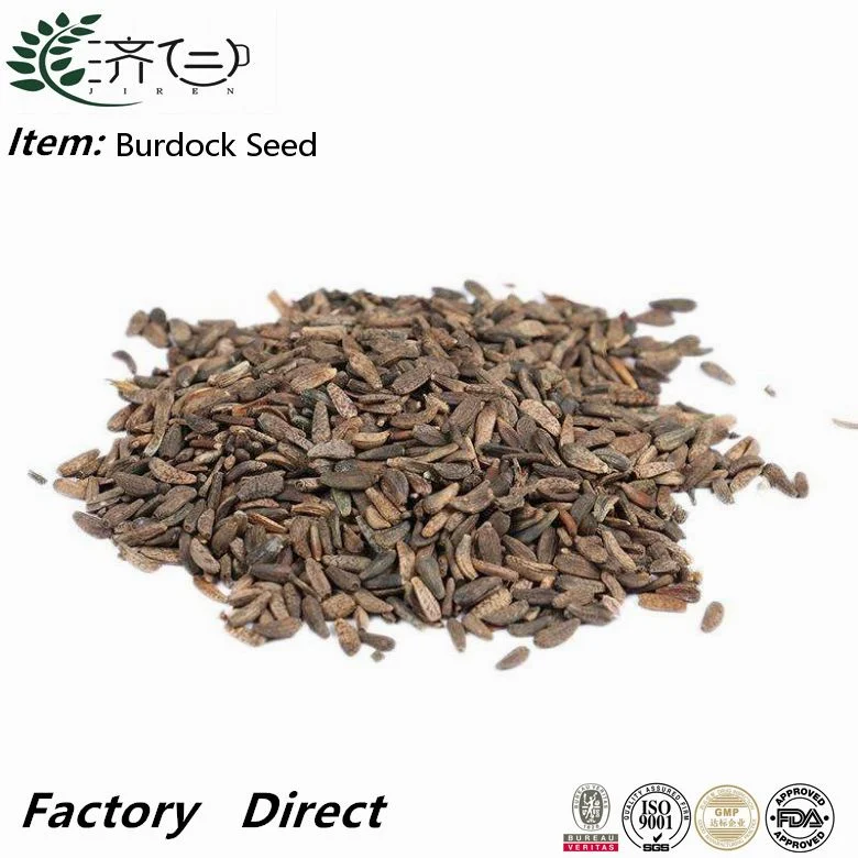 Arctiin Arctium Extract Great Burdock frutas dia Natural Herbal Medicina