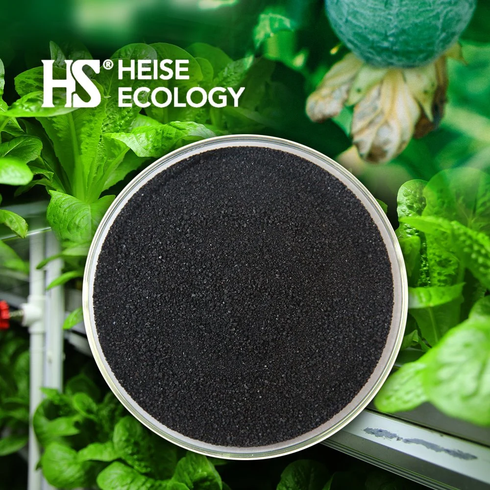 Fertilizante orgánico comercial sólida HS-Eco bolsas de 25kg pureza: el 100% de ácido húmico