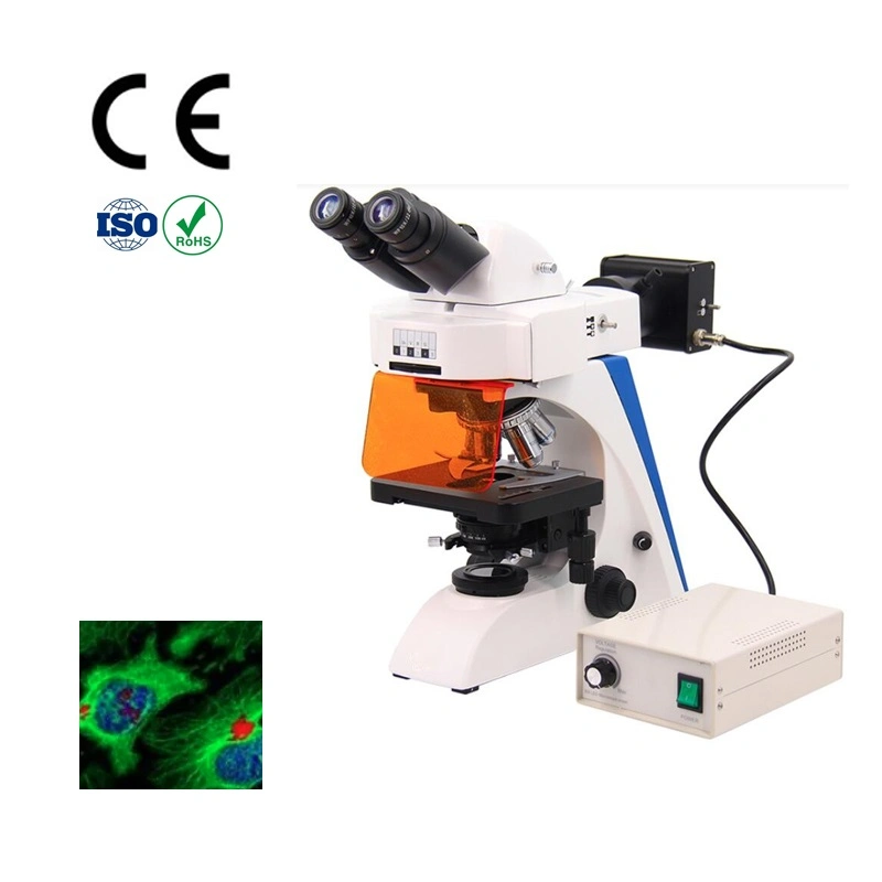 fluorescent Microscope with High Brightness 6V30W Halogen Koehler Illumination