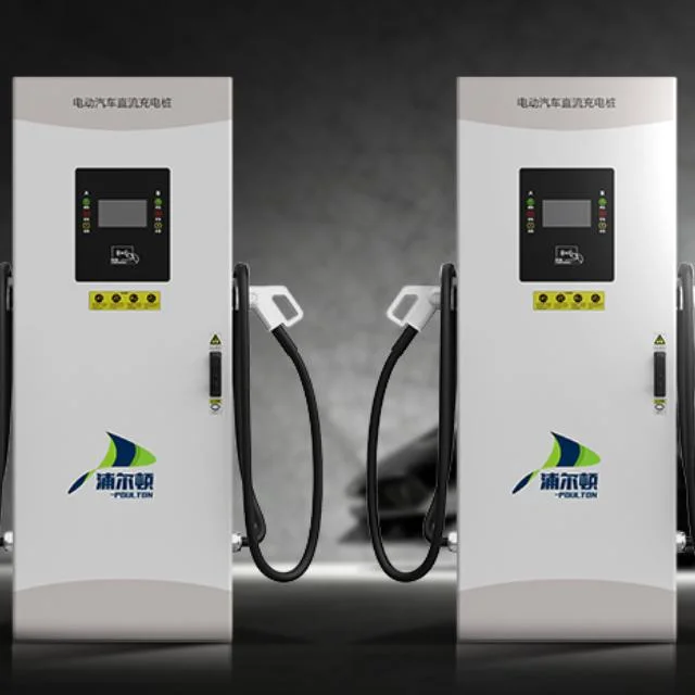 Dual Gun CE European Standard DC Fast Charger Station De Charge