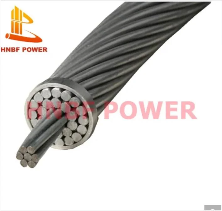 3.3.68mm 5/16' Galvanized Iron Wire/Steel Wire/Spring Wire/Stainless Steel Wire for Binging Metal Wire