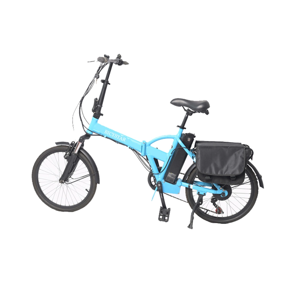 Custom Ebike bicicleta eléctrica 1000W 48V