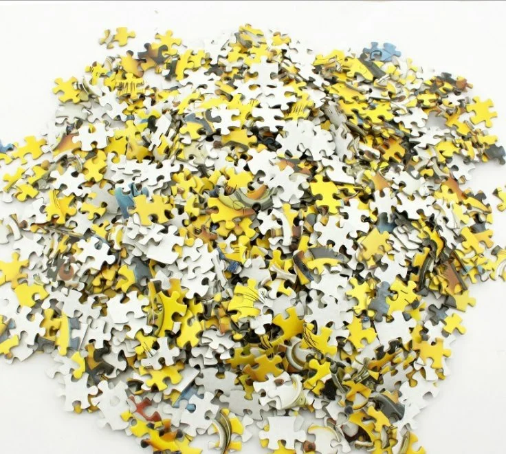 300 Pieces Floor Puzzle Direct Factory Price Customized Paper Jigsaw Puzzle Game for Adult and Children