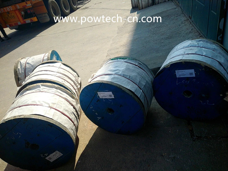 Aluminum Stranded Conductor Steel Reinforced (ACSR)