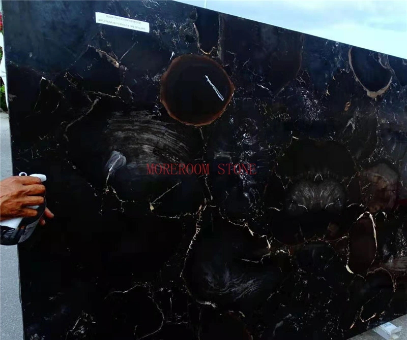 Gemstone Black Petrified Wood Slab