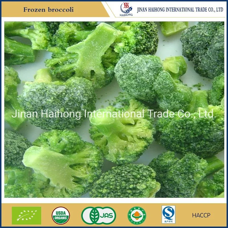 IQF Frozen Broccoli From China Supplier