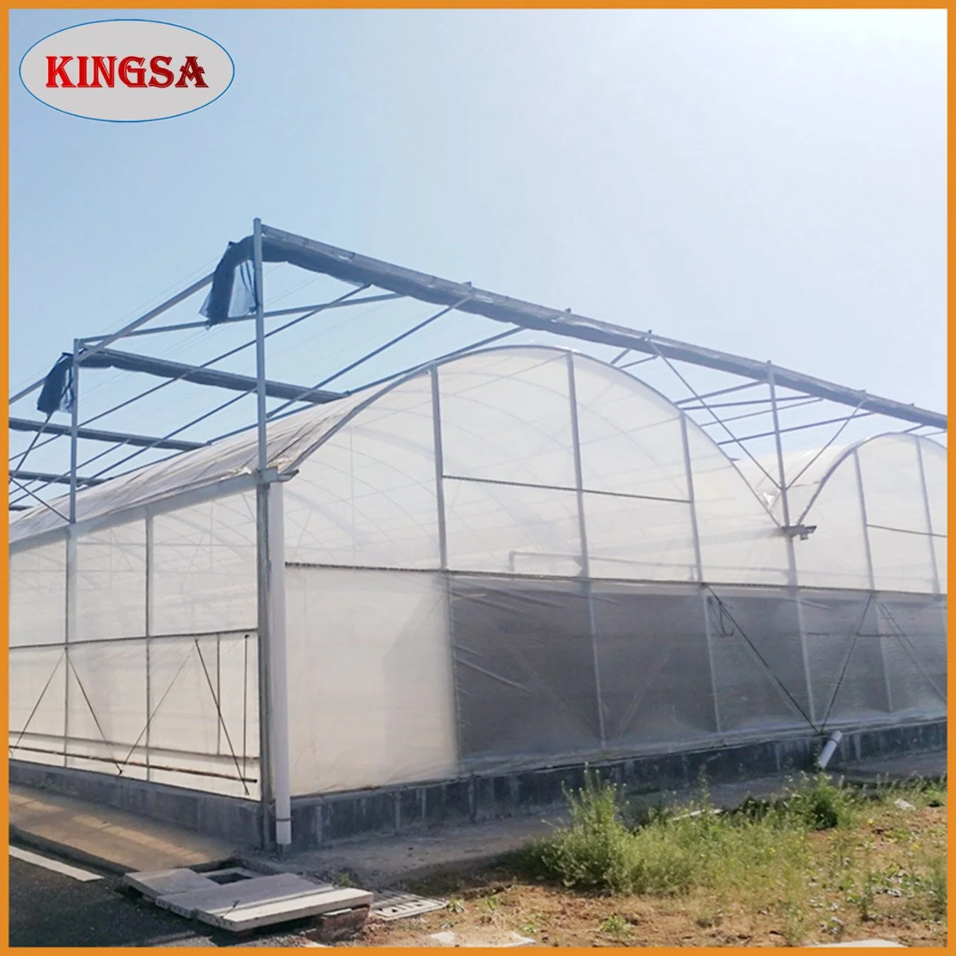 Professional Manufacturers Chinese Agricultural Intelligent Film Serre Invernadero Multi-Span Tomato Greenhouse with Hot DIP Galvanized Structure