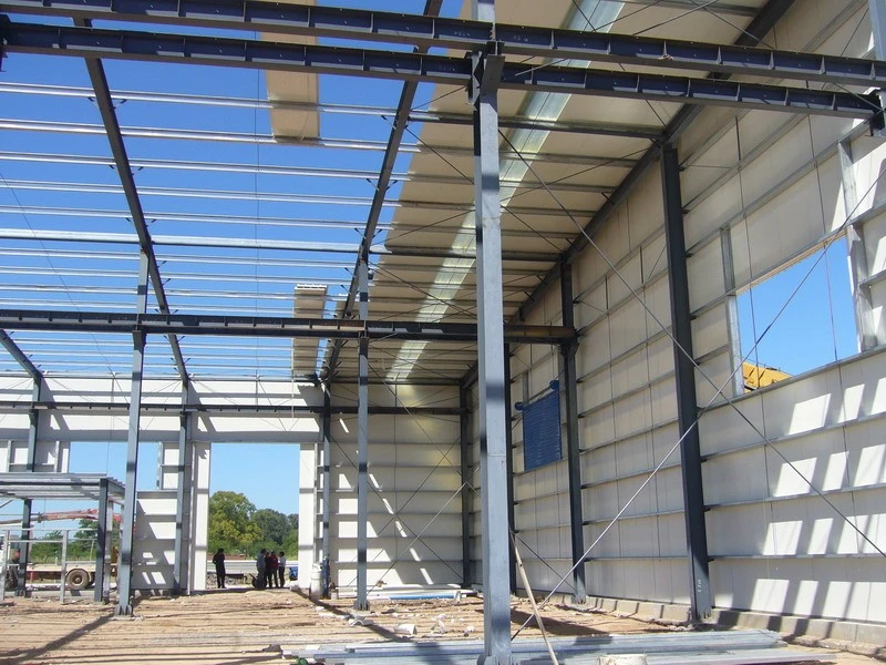 Prefabricated Factory Light Steel Structure Store Farm Hay Warehouse (KXD-95)