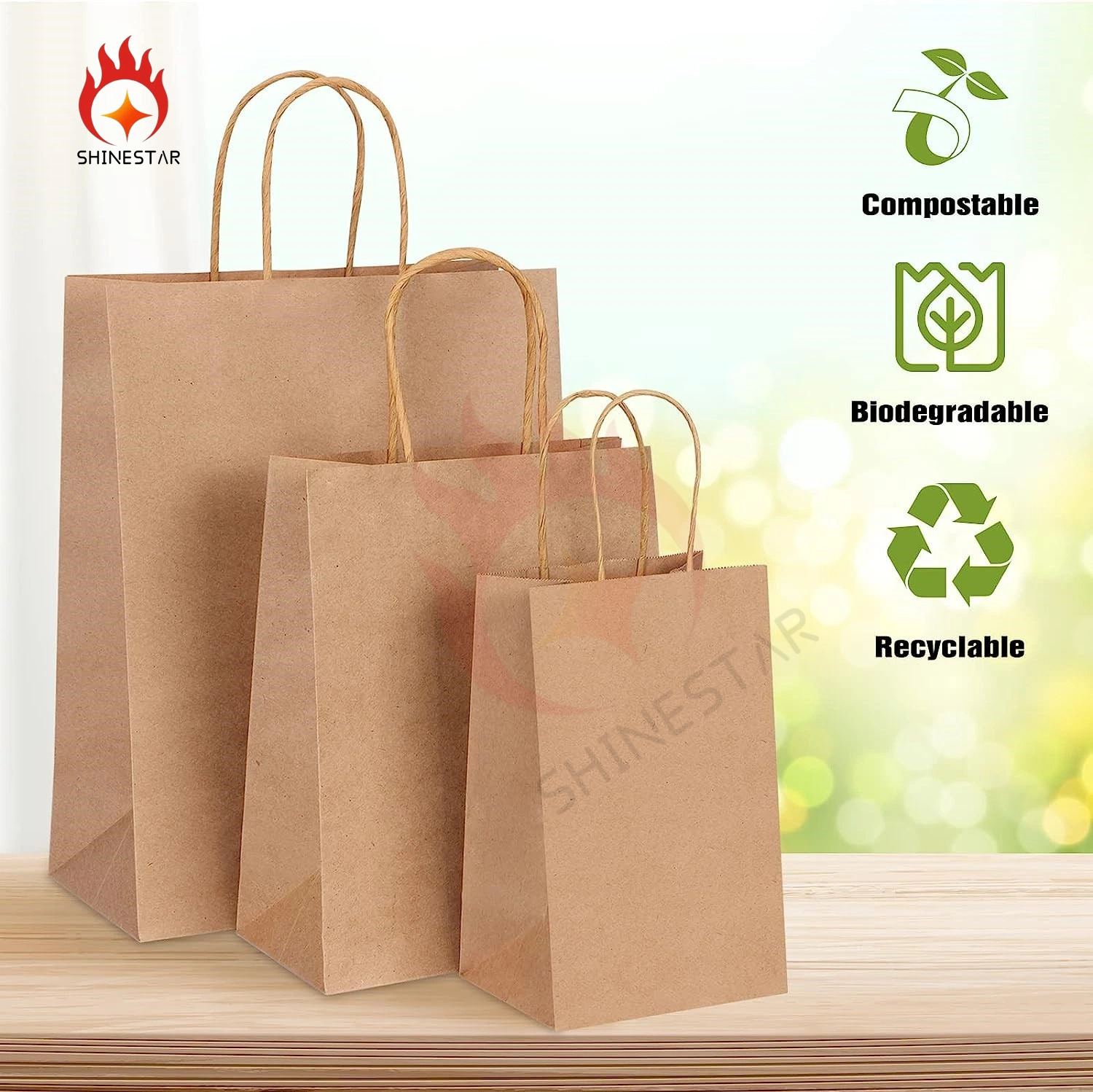 Brown Paper Bags with Handles Mixed Size Gift Bulk, Kraft Paper Stand up Packaging for Business, Shopping